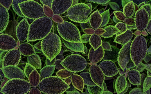 1238891 (a): :1920x1200
